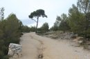 Des calanques de Port-Pin à Port-Miou